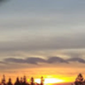 Meet your Posher, Irene